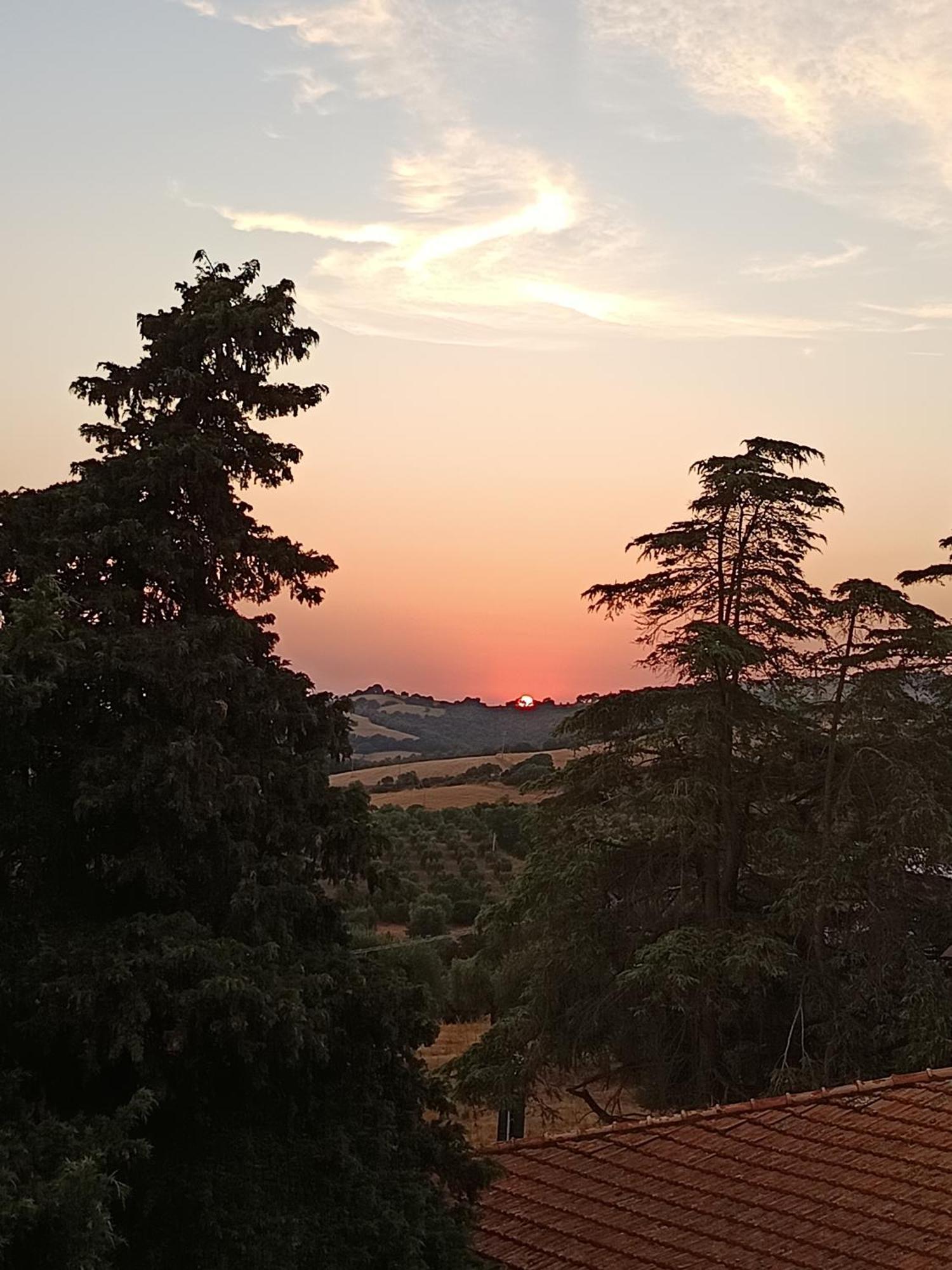 B&B Terramare Montiano  Dış mekan fotoğraf