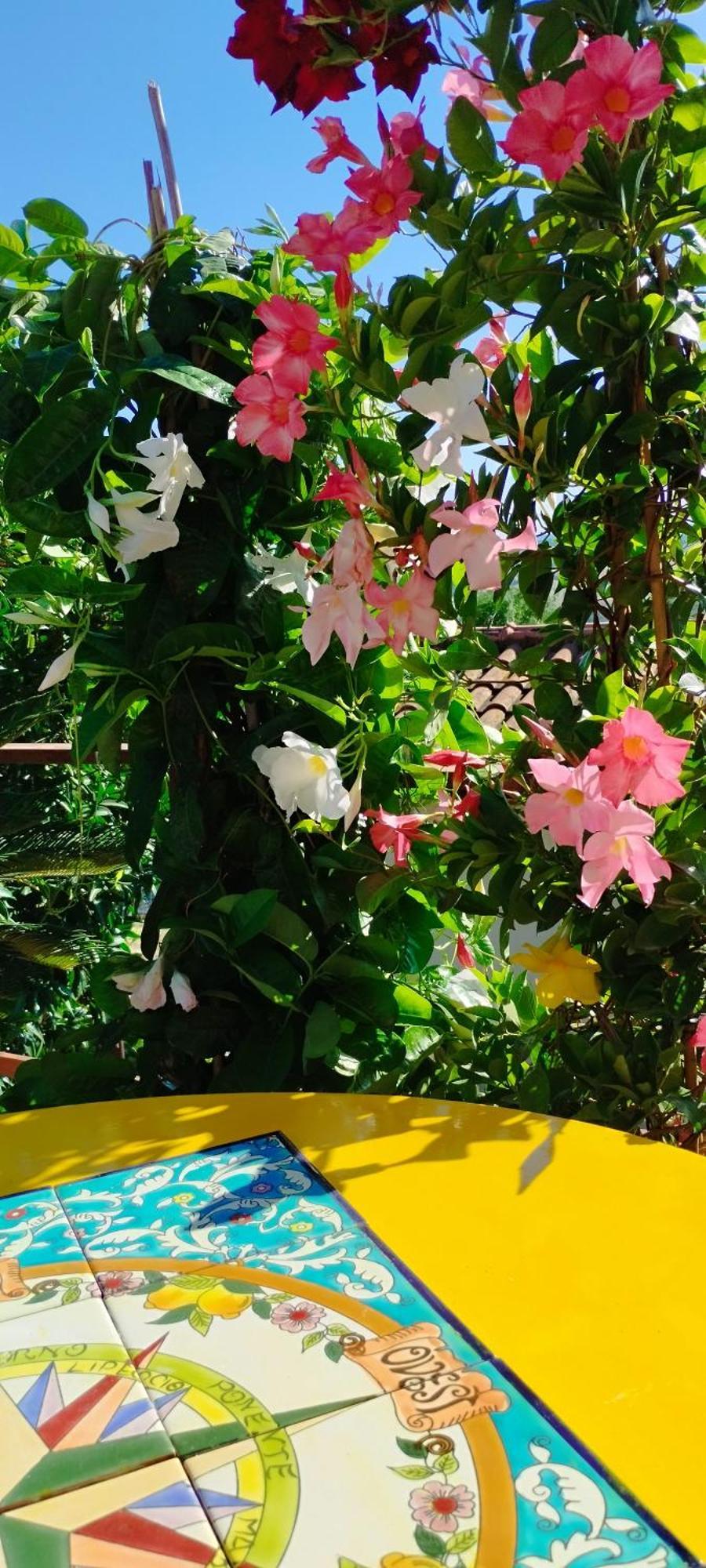 B&B Terramare Montiano  Dış mekan fotoğraf