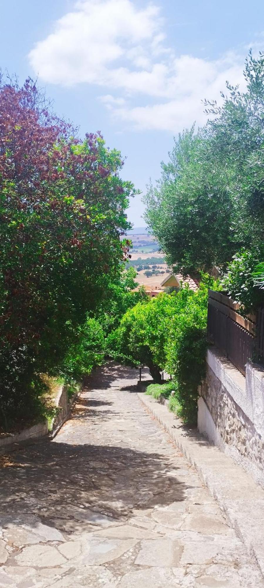 B&B Terramare Montiano  Dış mekan fotoğraf