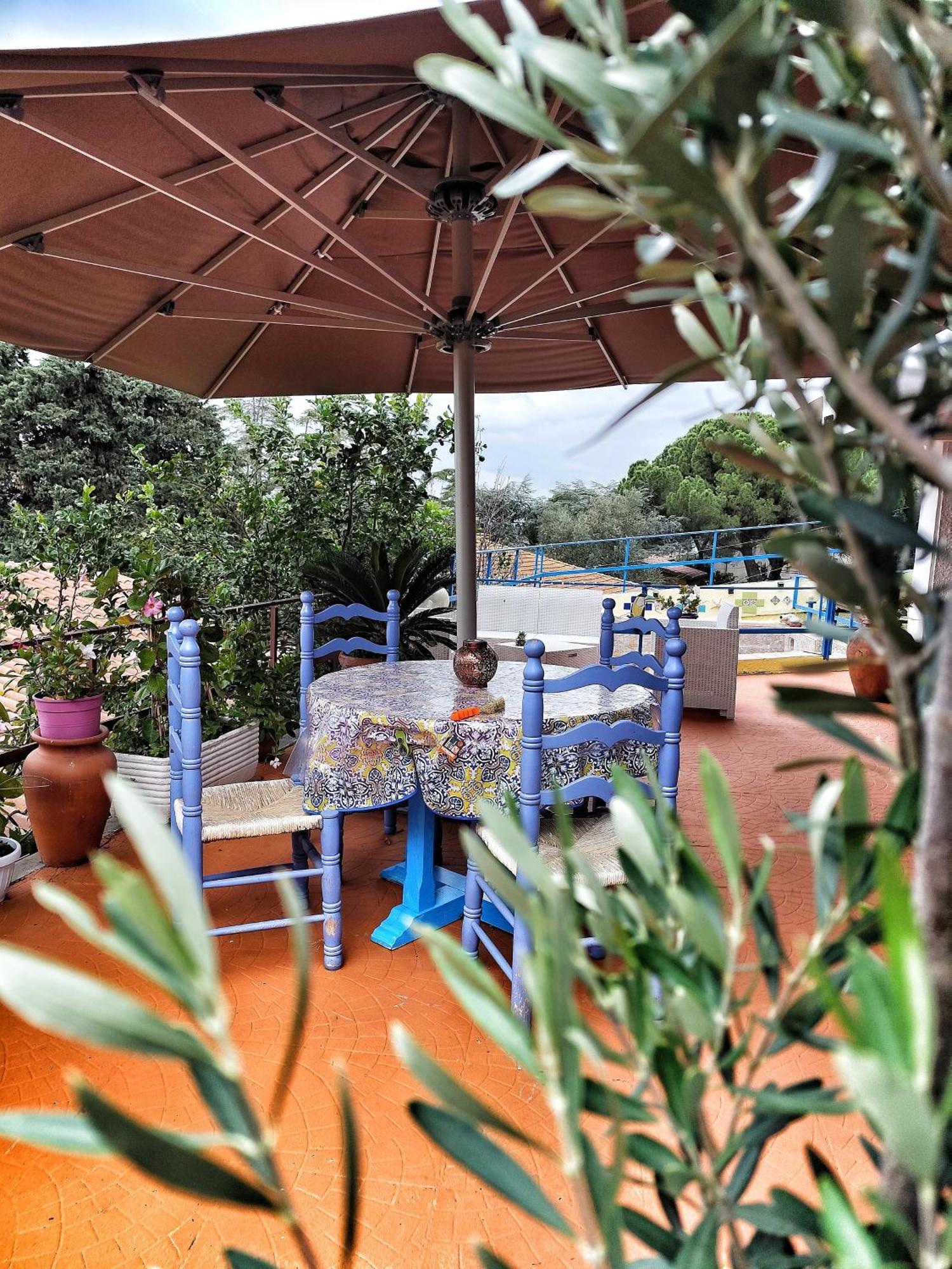 B&B Terramare Montiano  Dış mekan fotoğraf
